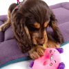Jouet peluche pour chien - Cochon donut ambiance