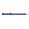 Lead double thickness for dog blue nylon - W40mm L 60cm