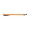 Lead double thickness for dog orange nylon - W25mm L 60cm