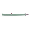 Lead double thickness for dog green nylon - W40mm L 60cm
