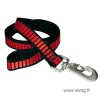 Laisse en nylon pour chien - DOMINOS - rouge -  4,0x50cm