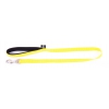 Laisse jaune pour chien - Néo Plus - Arka Haok -  Longueur 100cm - largeur 25mm