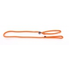 Dog nylon lead with choke collar - orange - 180cm 