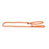 Laisse nylon avec collier éducation orange - 180cm 
