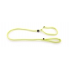 Dog nylon lead with choke collar - green - 180cm 