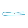 Dog nylon lead with choke collar - blue turquoise - 180cm 