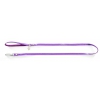 Laisse nylon Disco violet -  100 cm