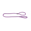 Laisse nylon  pour chien avec collier éducateur mauve - 180cm 