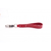 Dog lead red handle