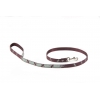 Laisse pour chien - Effet Libellule - S - larg 15mm Long 100cm