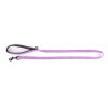 Dog nylon lead - Purple - Martin Sellier - 2,5 x 120 cm comfort handle