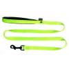 Dog nylon lead - green - 1,6 x 120 cm comfort handle