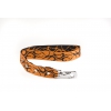 Laisse pour chien - Tatoo - L - larg 40mm Long 50cm