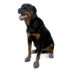 Lot de 12 chaussures de protection des coussinets des chiens - noir - taille XL - Largeur du pieds du chien supérieur à 10,5cm