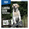 Lot de 60 calendriers chien et chat 2026 - Martin