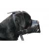 Muselière pour chien - Noir - spécial Amstaff et Rottweiler