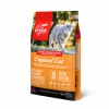 ORIJEN Original Cat - 5,4 kg