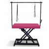 Vivog I-design grooming table -azalea lacquered