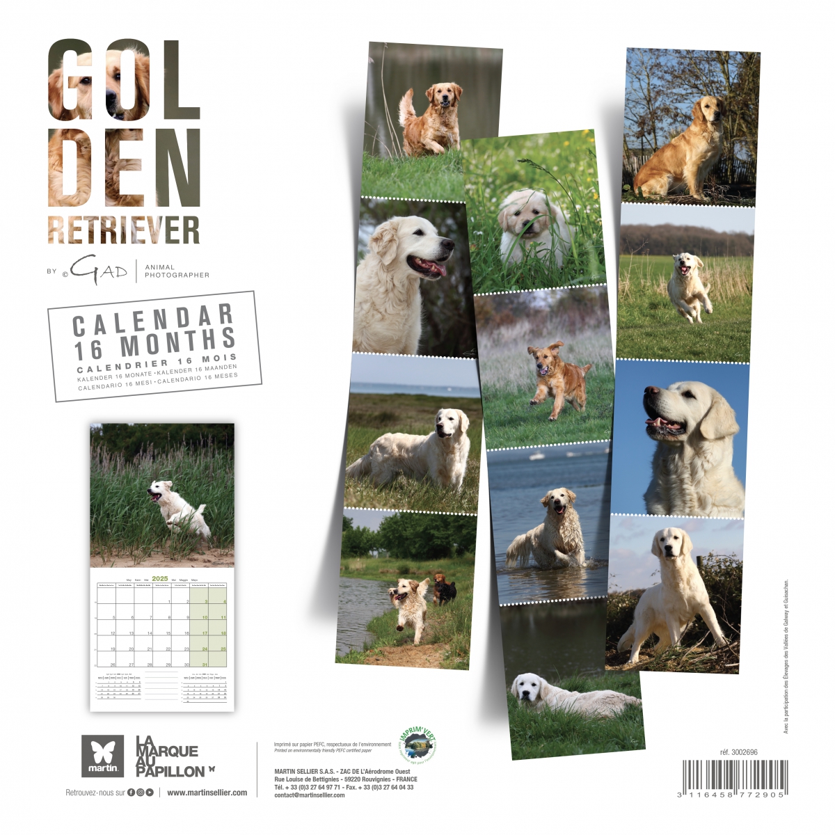 Golden Retriever calendrier chien 2025 Martin