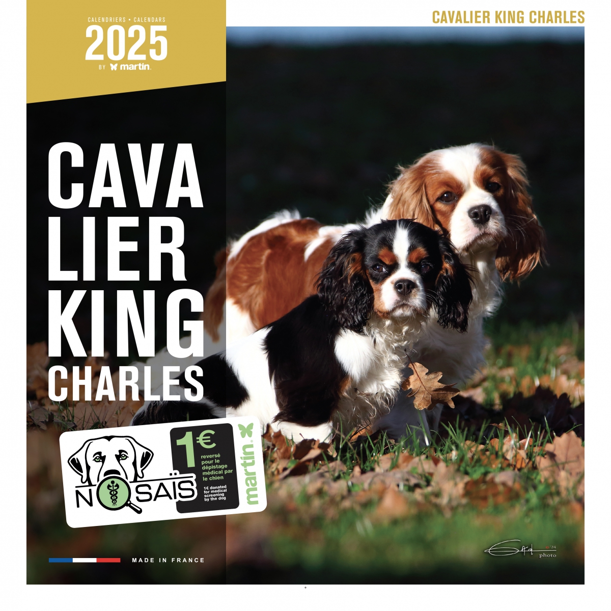 CAVALIER KING CHARLES Calendrier Slim 2024 Chien Race Ultramince - 12 Mont EUR 11,24 - FR CAVALIER KING CHARLES Calendrier Slim 2024 Chien Race Ultramince - 12 Mont EUR 11,24 - FR
