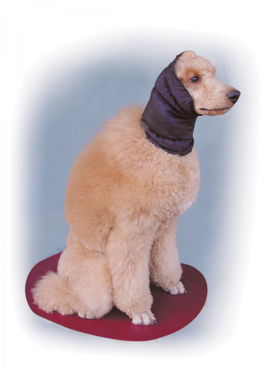 Snood tissu - pour maintenir le poil d'un chien d'exposition en parfait  état.