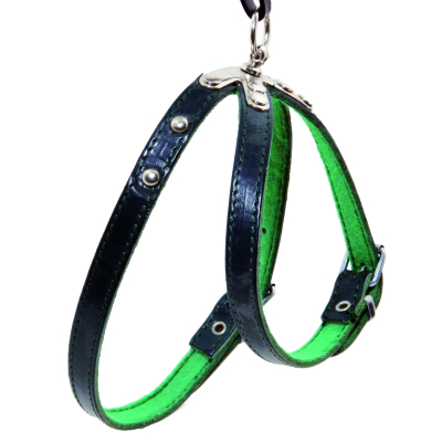 Harnais en cuir - Feutrine et clou - T65 - Vert