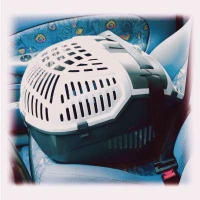 Cage de transport en plastique - Avior - gris