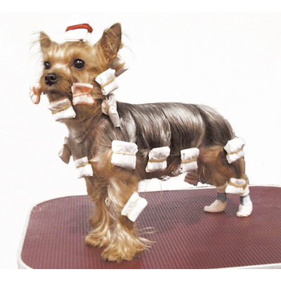 Sweet pour chien Racing Fever - Taille XXL - poitrine 56-58cm dos 36-38cm