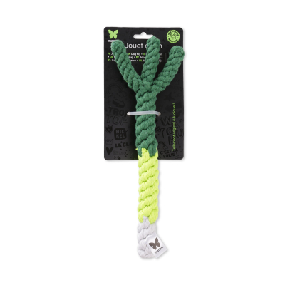 Leek on a string - Vegetable - Large size - green