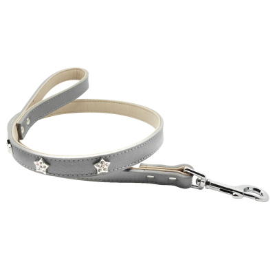 Laisse - Star - 100cm - 2cm - gris