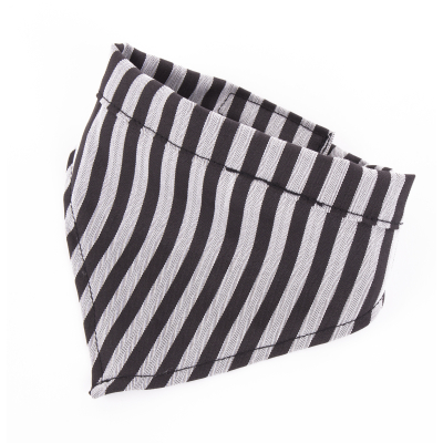 Laisse pour chien / chat - nylon pois rose - 1 x 100 cm