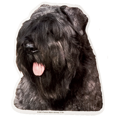 Autocollant - Bouvier des flandres - 14/15cm - gris