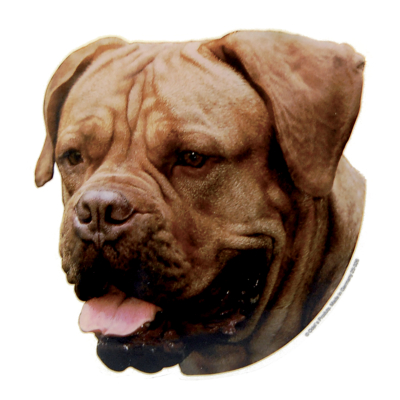 Autocollant - Dogue de bordeau - 14/15cm - marron