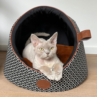 Lot de 2 cachettes - Avenue Montaigne - marron
