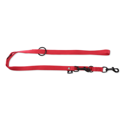 Harnais pour chien - Baya - larg 40mm Long 50 à 72cm