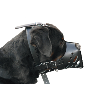 Tee shirt pour chien - Téo Jasmin Pirate - S - 21cm