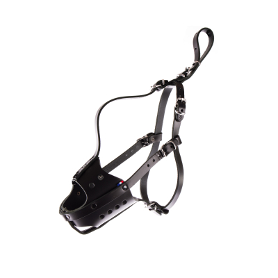Manteau pour chien - Oliver - 46cm