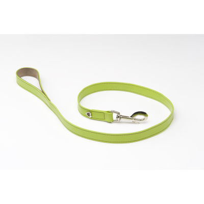 Laisse en cuir - Citadine - L - vert