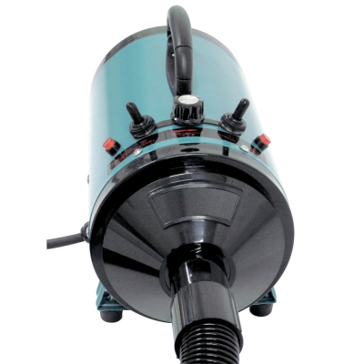 Green Dryer/Blower 2400W - Star Universal