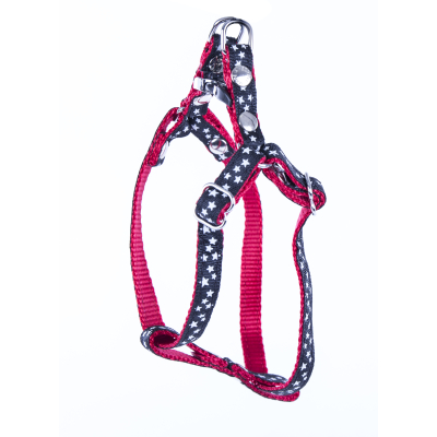 Brosse pour chat hygénicarde - Taille M