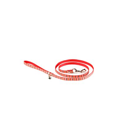Laisse en nylon - Rainbow - <100cm - 1cm - orange fluo