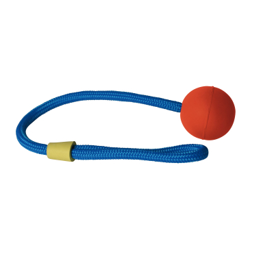 Laisse jaune pour chien - Néo Plus - Arka Haok -  Longueur 100cm - largeur 15mm