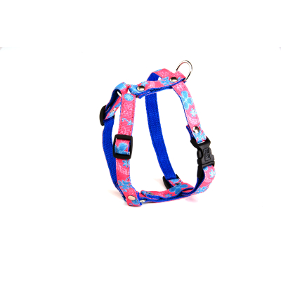 Lot de 30 jouets chien
