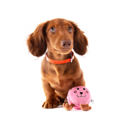Plush Macaron - Les Frenchies - pink