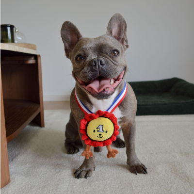 Médaille en peluche - Les  Frenchies