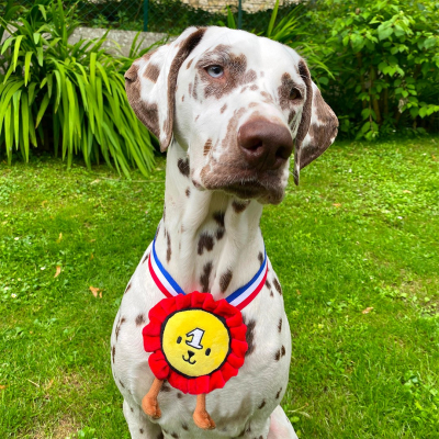 Médaille en peluche - Les  Frenchies