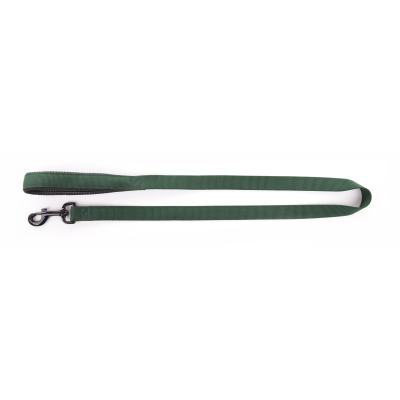 Laisse en nylon - <120cm - 2.5cm - vert
