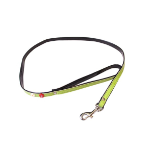 Laisse Paquerette similicuir - <120cm - 1cm - vert