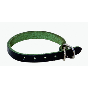 Collier en cuir - Cuir classique plaque - XS - Vert