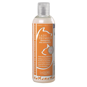Lady Premium Shampoo - Ladybel - 4L